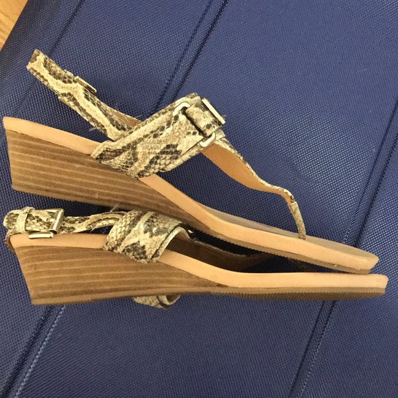 Coach Danielle Sandal - Picture 2 of 4